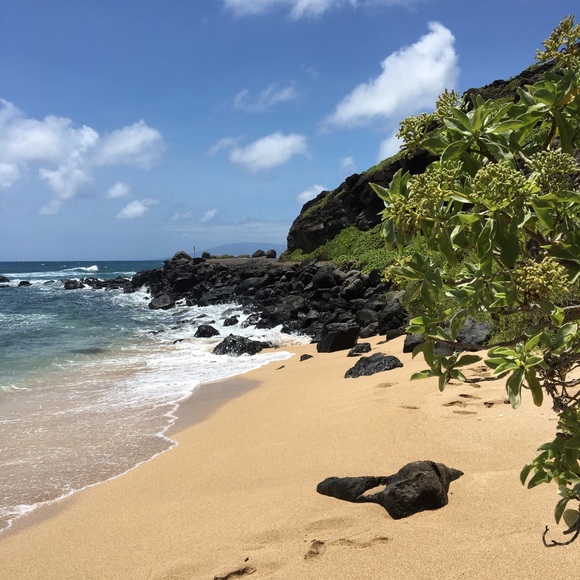 Meet your Posher - Picture 5 of 7